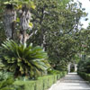 Viale dell'Orto Botanico