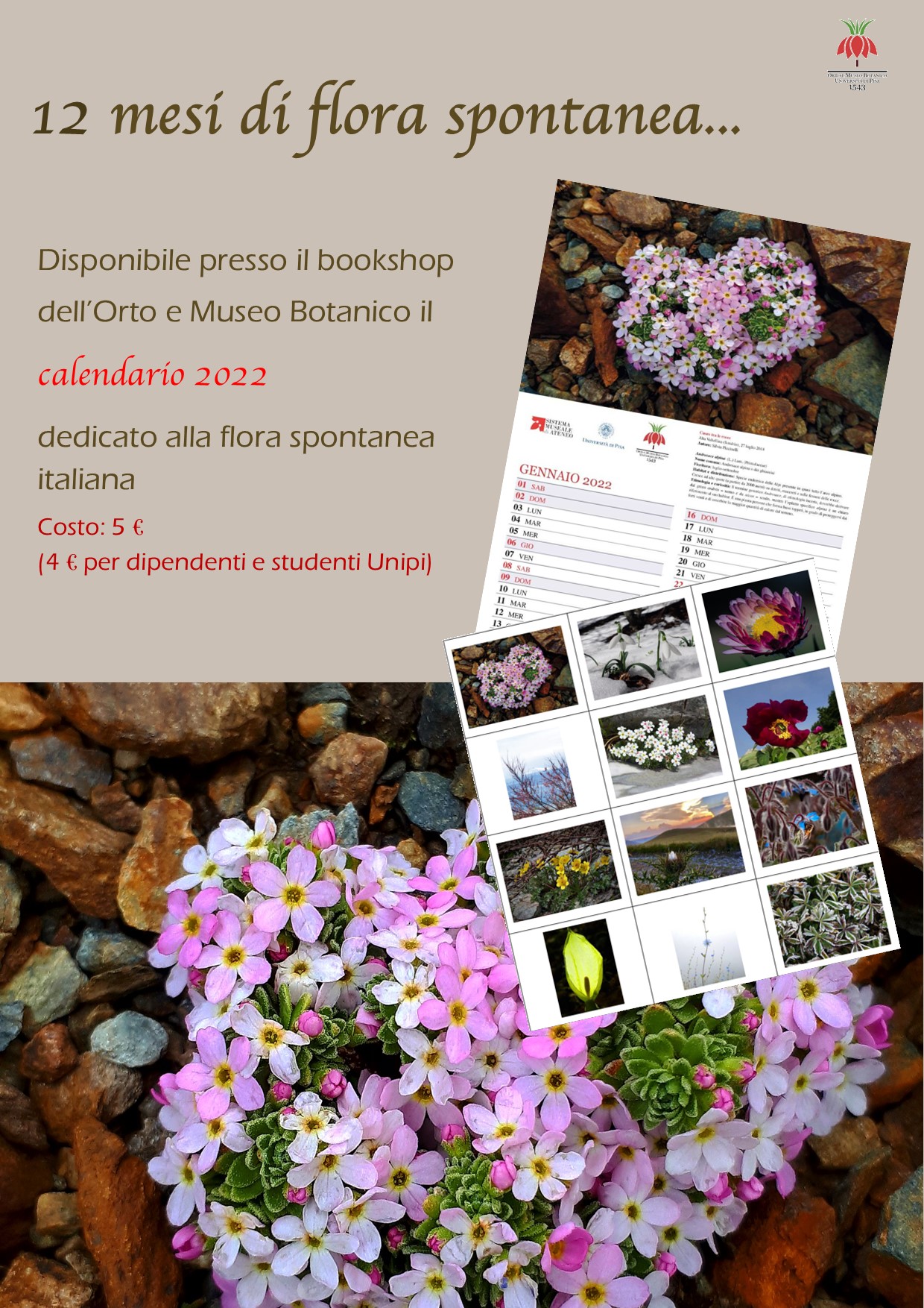 Fi/oTO 2022 – Concorso fotografico all’Orto e Museo Botanico di Pisa ...