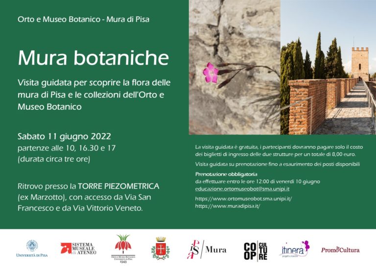 Orto e Museo Botanico e Mura di Pisa - Visita guidata Mura botaniche ...