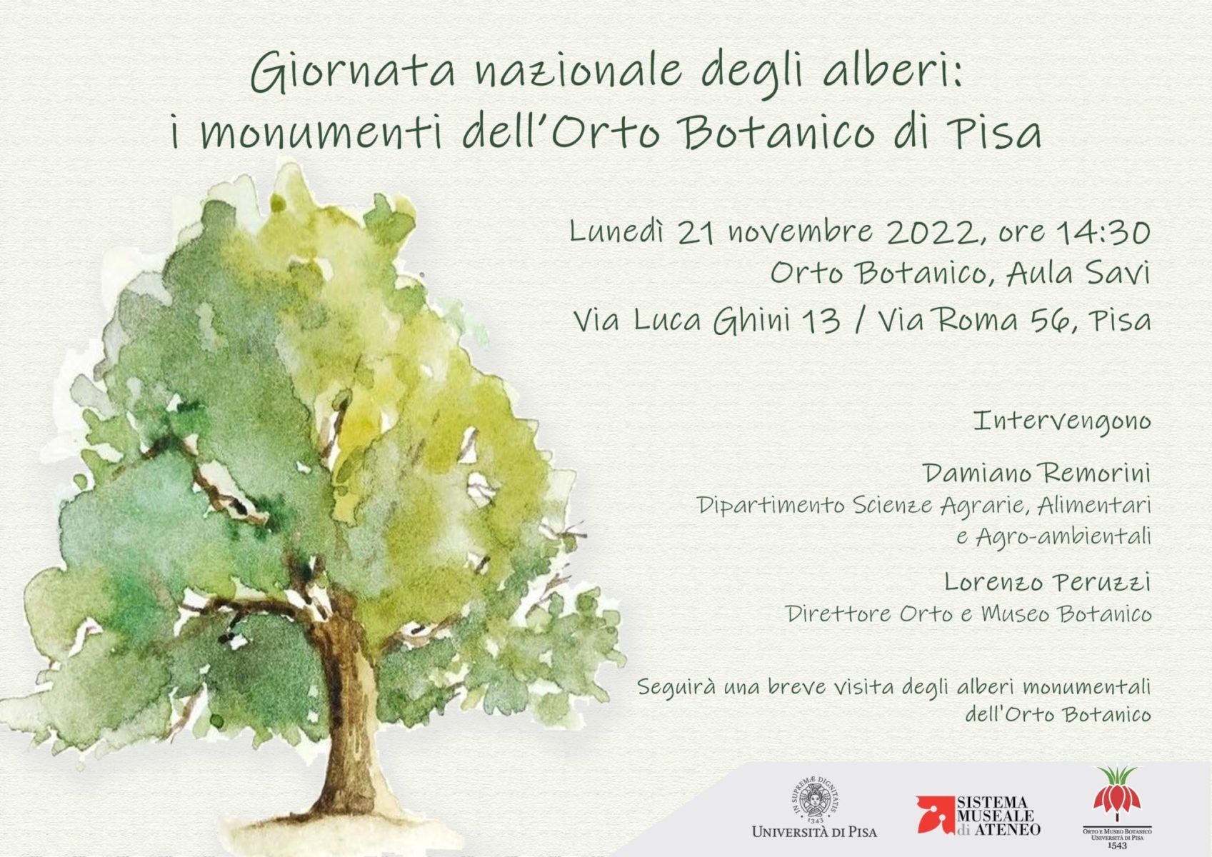Giornata Nazionale Degli Alberi 2022 Sistema Museale Di Ateneo