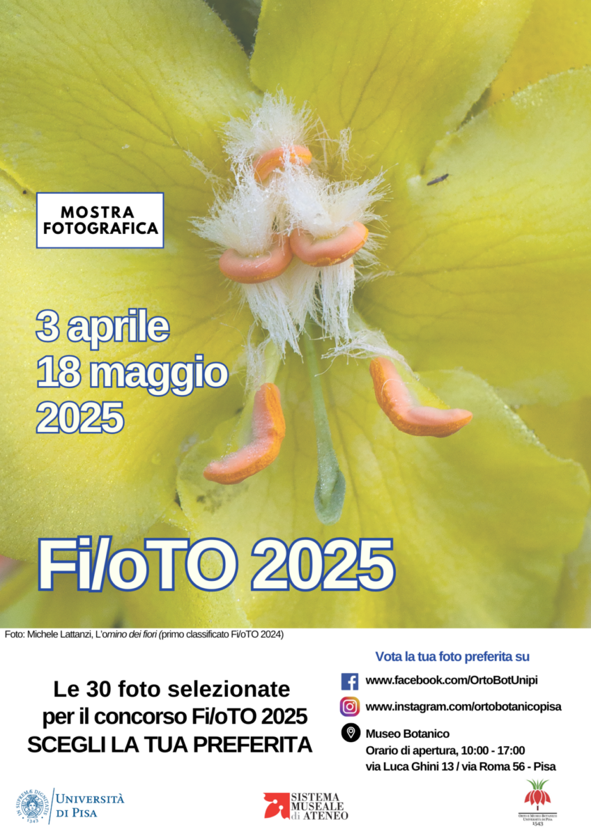Concorso fotografico Fi/oTO 2025, Orto e Museo Botanico - Vota la tua ...